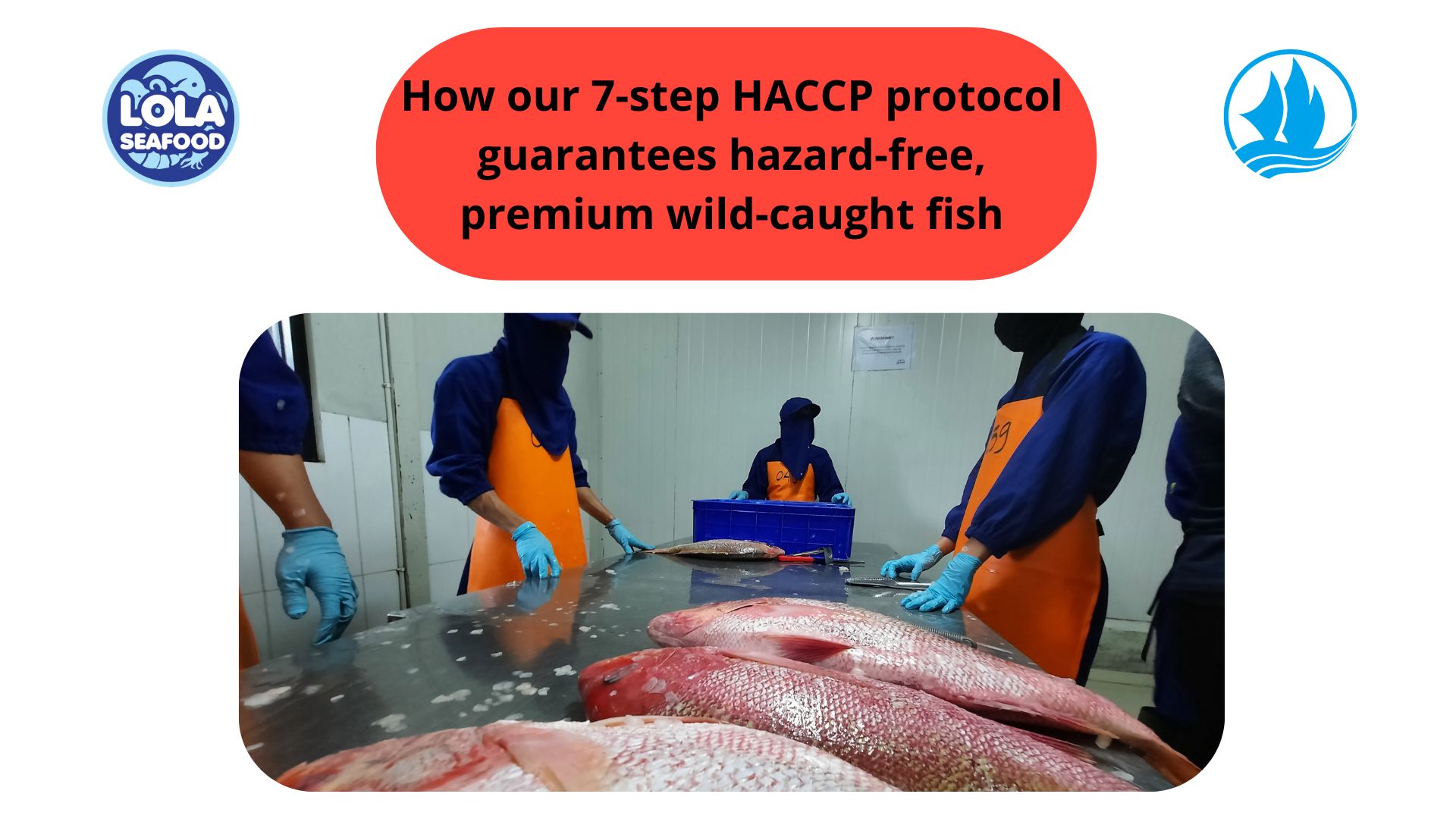 How our 7-step HACCP protocol guarantees hazard-free, premium wild-caught fish